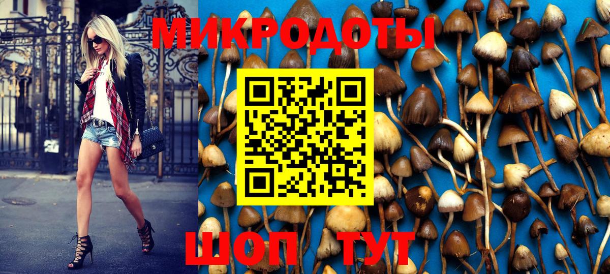 Владимир  Галлюциногенные грибы мухоморы  Вход с VPN 